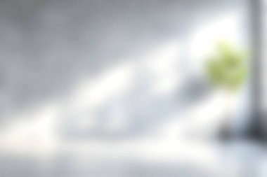 Yumuşak odak görüntüsü, doğal ışığın hafif gölgelerini serin ve taze bir atmosferi çağrıştıran minimalist bir kapalı alanda yeşil bir bitkiye dönüştürüyor..