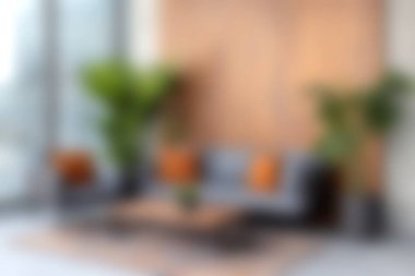 Yastıklarla süslenmiş rahat bir kanepenin olduğu şık, modern bir oturma odası. Parlak kapalı alan, yeşillik ve ahşap aksanla rahatlığı artırır..