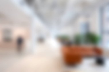 Rahat oturma alanları, yemyeşil bitkiler ve iş birliği ve üretkenlik için mükemmel parlak bir atmosferi olan geniş ve modern bir açık ofis..