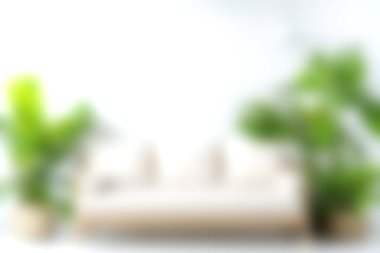 Bu resim, yumuşak bir kanepesi ve yemyeşil bitkileriyle rahat ve rahat bir ortam yaratacak rahat ve davetkar bir oturma odası içeriyor..