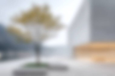 Çağdaş tasarım içindeki doğanın güzelliğini gösteren, modern mimari unsurların arasında canlı bir ağaç sergilenmektedir..