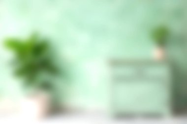 Yumuşak yeşil duvar, şık bir bitki ve minimalist mobilya içeren rahat bir iç mekanı geliştirir. Modern ev estetiği ve huzur içinde yaşamak için mükemmel..