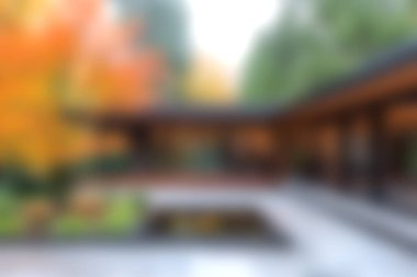 Canlı yeşillik ve modern mimari içeren sakin bir sonbahar bahçesi, doğada rahatlama ve yansıma için mükemmel huzurlu bir atmosfer yaratıyor..