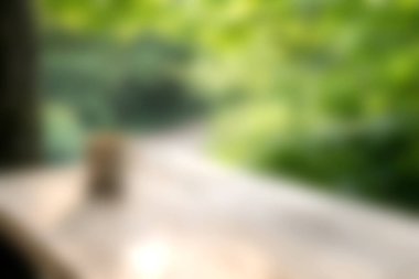 Bereketli yeşilliğin bulanık bir arka planı ön planda ahşap bir masa ve rahatlama ve doğa meraklıları için ideal barışçıl bir atmosfer içeren sakin bir açık hava ortamı..