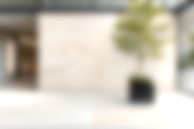 Bu resim, nötr bir duvarın yanında modern bir bitkinin yer aldığı, çağdaş mekanlar için sıcak ve davetkar bir atmosfer yaratan minimalist bir iç tasarım sergiliyor..