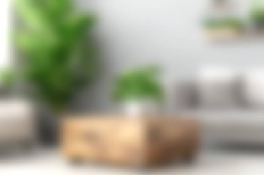 Bu resim, modern mobilyaların ve ev bitkilerinin yer aldığı rahat bir oturma odasını sergiliyor. Rahatlamış bir ortam yaratıyor. Toplantılar ve sessiz zaman için mükemmel..