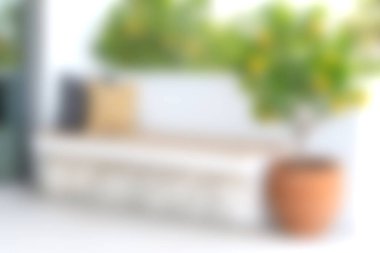 Bu resim, şık bir bank, dekoratif yastıklar ve gevşemek için mükemmel canlı bir saksı bitkisinin yer aldığı rahat bir açık hava oturma alanını gösteriyor..