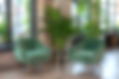 Konforlu yeşil sandalyeler ve bereketli ev bitkilerinin yer aldığı modern yaşam alanı, doğal ışıkla dolu taze ve davetkar bir atmosfer yaratıyor..