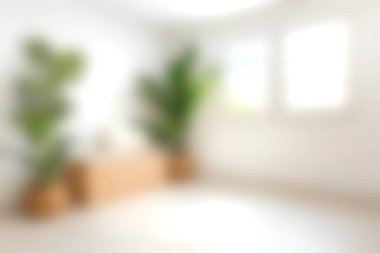 Bu görüntü yeşil bitkiler ve minimalist dekorlarla dolu parlak ve havadar bir iç mekan içerir. Rahatlama, sağlık ve modern yaşam tarzı estetiğini desteklemek için idealdir..