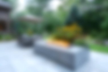 Canlı yeşilliği olan, bahçe estetiğini geliştirmek için mükemmel modern bir bitki yetiştiren sakin bir açık hava. Bu sakin ortamda rahatla..