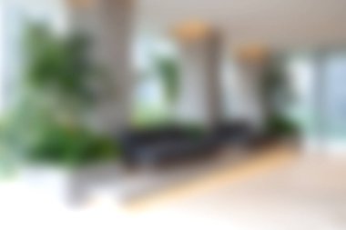 Parlak ve havadar bir salon. Minimalist dekorlar ve yemyeşil bitkiler sergileniyor. Huzurlu bir atmosfer yaratıyor..