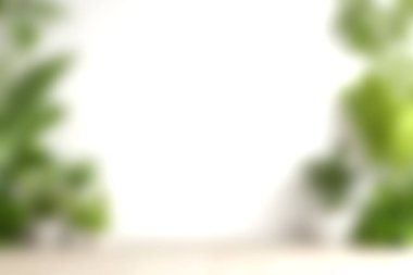 Bu yumuşak odaklı arka plan, herhangi bir kapalı alanda sakin ve minimalist bir atmosfer yaratmak için mükemmel yemyeşil bitkiler sergiliyor..