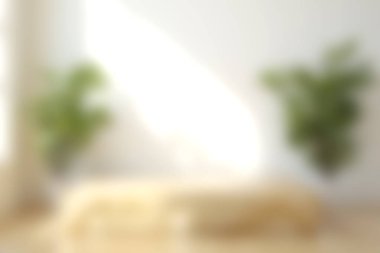 Rahat elementler ve yeşil bitkilerle süslenmiş, rahatlama ve sükunet için mükemmel minimalist tarzda dekore edilmiş sakin ve parlak bir kapalı alan..