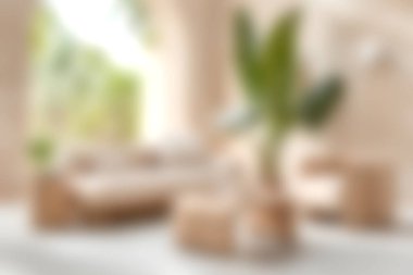 Yumuşak bir oturma odası ve sıcak doğal ışık altında canlı yeşil bir bitki. Ev dekorasyonu için mükemmel..