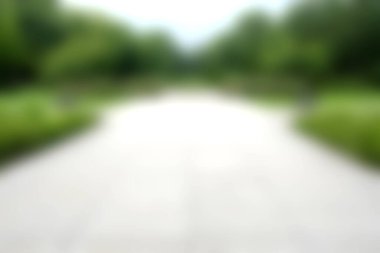 Huzurlu ve yumuşak bir arka plan. Huzurlu bir yol. Yeşillik ve canlı ağaçlarla dolu..