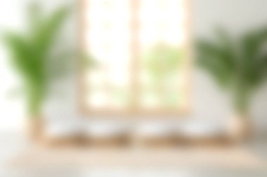 Parlak ve cezbedici bir modern yaşam alanı, yemyeşil bitkiler, büyük pencerelerden akan doğal ışık, huzurlu bir atmosfer yaratıyor..