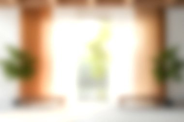 Yumuşak bir ışığın pencereden içeri aktığı, yemyeşil bitkiler tarafından vurgulandığı, rahat ve davetkar bir atmosfer yaratan sakin ve parlak bir iç mekan..