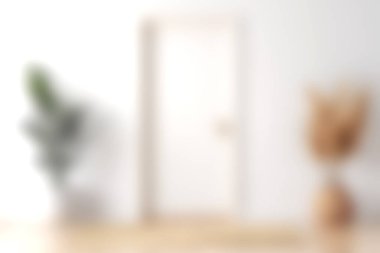 Minimalist bir iç mekânın hafif bir bakış açısı ışık kapısı, dekoratif bir vazo ve yemyeşil bir bitki sergiliyor. Bu sakin sahne sükuneti ve modern zarafeti arttırır..