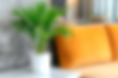 Canlı turuncu bir yastığın bulunduğu rahat bir oturma odasının cazibesini yaşayın, yemyeşil bir bitkiyle eşleştirilmiş, modern dekoru geliştiren.