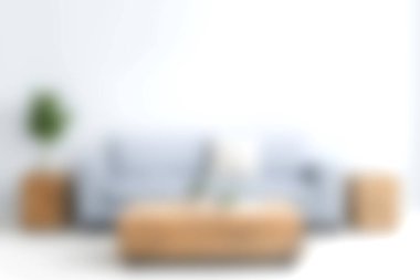 Bu resim, şık bir saksı bitkisiyle tamamlanmış minimalist bir kahve masası eşleştirilmiş yumuşak bir kanepeyi sergiliyor ve davetkar bir atmosfer yaratıyor..