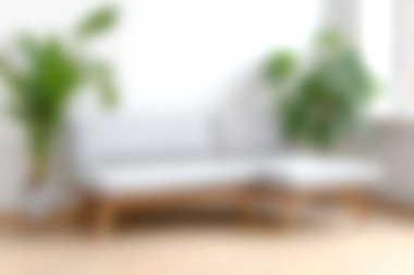 Minimalist beyaz bir kanepe ve yemyeşil bitkilerle dolu parlak ve havadar bir oturma odası. Her evde rahat ve davetkar bir ortam yaratmak için mükemmel..