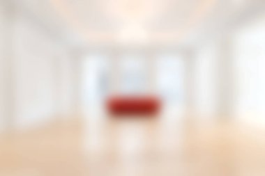 This image features a modern bright room showcasing a minimalist design with an elegant red sofa. The spacious interior is filled with natural light.