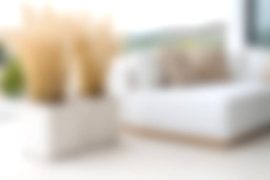 A serene and modern living room featuring a cozy white sofa adorned with decorative pillows and stylish dried plants, creating a comforting and inviting atmosphere.