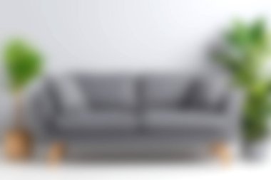 A stylish gray sofa adorned with decorative cushions, set against a bright wall and surrounded by lush greenery, perfect for a cozy living room ambiance.