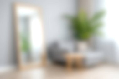 This image captures a modern living room featuring a large mirror, a cozy couch, and a vibrant potted plant, creating a tranquil and inviting atmosphere.