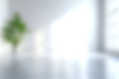 Bu görüntü, yumuşak doğal ışıkla aydınlatılan yeşil bir bitkinin yer aldığı parlak ve havadar bir iç mekan yakalıyor, bir huzur ve ilham hissi uyandırıyor..