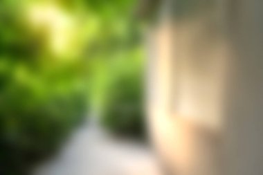 Huzurlu bir patika, yemyeşil bir bahçenin içinden geçiyor ve yumuşak bir sabah ışığı ile aydınlatılıyor, sakin bir açık hava kaçışı yaratıyor..