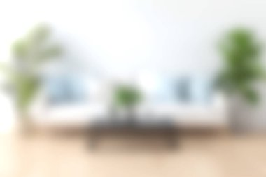 Yumuşak mobilyaları ve canlı ev bitkileriyle minimalist bir tasarımı olan sakin, modern bir oturma odası. Bu davet alanı şık ev dekorasyonu için sükunet ve ilham veriyor..