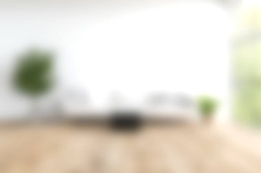 Parlak ve havadar oturma odası, minimalist tasarım, rahat oturma, ve yemyeşil, herhangi bir evde sakin ve davetkar bir atmosfer yaratmak için mükemmel.