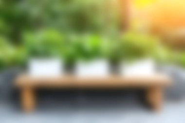 Konforlu bir açık hava oturma alanı, saksılarda yeşil bitkiler, ahşap bir bank ve sıcak güneş ışığı rahatlamak için mükemmel bir atmosfer yaratıyor..