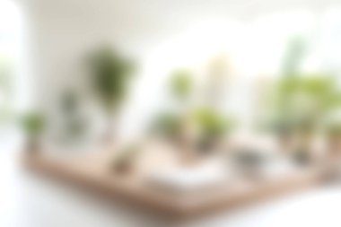 Parlak ve rahat bir bahçe, modern yaşam alanındaki çeşitli yeşil bitkileri sergiliyor, doğal güzelliklerle dolu huzurlu bir atmosfer yaratıyor..