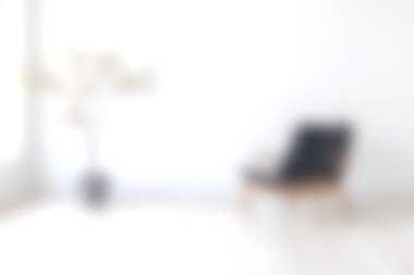 Çağdaş bir koltuk ve bol doğal ışıkla aydınlatılmış kapalı bir bitki içeren sakin ve minimalist bir oturma odası. Tasarım ilhamı için ideal.