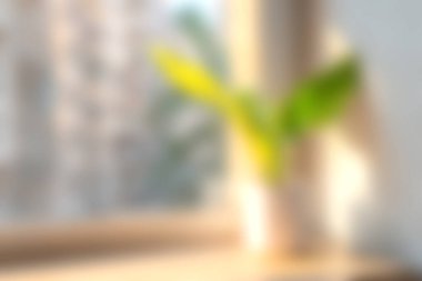 Yumuşak odaklı bir görüntü, yeşil bir bitkiyi parlak bir pencereden yakalıyor, sükunet ve minimalizmi somutlaştırırken sıcak bir ışık ve sakin bir ortam sergiliyor..