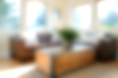 Doğal ışığın geniş pencerelerden içeri aktığı, yeşil bitkilerle tamamlanmış, davetkar ve sakin bir atmosfer yaratan rahat bir oturma odası..