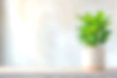 Zarif bir tencerede yeşil bir bitkinin yumuşak bulanık görüntüsü, herhangi bir yerde dingin ve taze bir atmosfer yaratıyor..