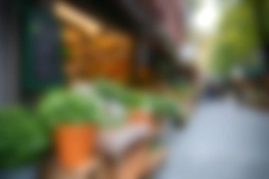 Açık hava piyasa sahnesinin yumuşak odak noktası, yemyeşil bitkiler ve hareketli bir caddeyi çevreleyen renkli saksılar. Kentsel yaşam tarzı ve doğa temaları için mükemmel..