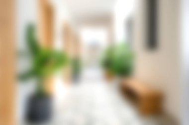 Serin ve davetkar modern bir koridor, bereketli saksı bitkileri ve bol doğal ışık ile süslenmiş, sakin bir atmosfer için minimalist tasarım elementleri sergiliyor..