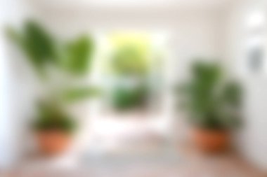 Bereketli yeşil bitkilerin yer aldığı parlak ve davetkar bir iç mekan. Doğal ışık boşluğu doldurur, dinlenmek için mükemmel sıcak ve sakin bir ortam yaratır..