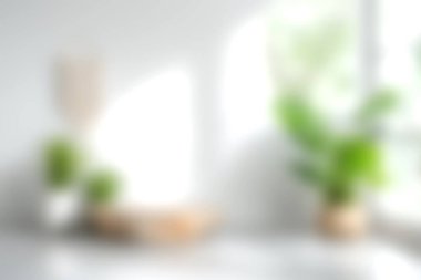 Parlak ve havadar bir odada yemyeşil bitkiler, yumuşak doğal ışık ve minimalist dekor sergilenir. Herhangi bir evde huzurlu ve davetkar bir ortam yaratmak için mükemmel..