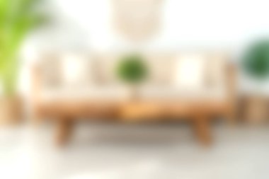 Dekoratif yastıklı şık bir kanepe, ferahlatıcı bir bitki ve dinlenmek ve rahatlamak için sıcak, davetkar bir atmosferi olan rahat bir oturma odası..