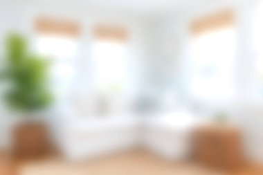 Yeşil bir bitki, minimalist mobilyalar ve rahatlama ve rahatlama için sıcak, davetkar bir atmosfer içeren doğal ışıkla dolu rahat bir oturma odası..