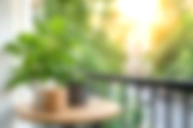Yumuşak odaklı bir görüntü, parlak bir balkon ortamında, ahşap bir masanın üzerinde canlı yeşil bir bitki gösteriyor, sıcak doğal ışık ile aşılanmış, sakin bir atmosfer yaratıyor..