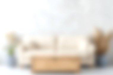 Bu davetkar oturma odasında doğal dekor elementleriyle eşleştirilmiş, rahat ve parlak bir atmosfer yaratan tarafsız bir kanepe var. Ev tasarımı için ideal.