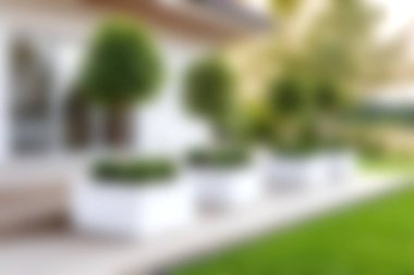 Modern beyaz tarlalarda zarif yeşillikler sergilenen sakin bir manzara, şık bir evin dışında güzelce düzenlenmiş, davetkar bir atmosfer yaratıyor..