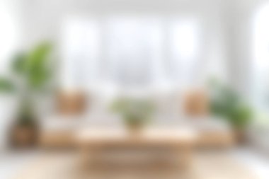 Zarif mobilyaların, bol bitkilerin ve büyük camlardan süzülen doğal ışığın bulunduğu parlak ve rahat bir oturma odası huzurlu bir atmosfer yaratıyor..