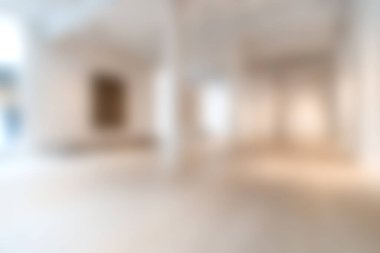 Geniş ve minimalist sanat galerisi. Parlak doğal ışık, yumuşak odak unsurları ve sergilenen sanat eserleri için mükemmel bir ortam..